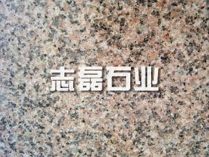 萊州櫻花紅